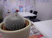 アフターサービス